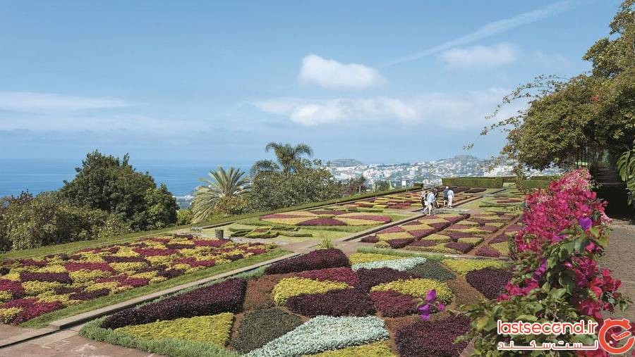 باغ گیاهشناسی مدیرا (Madeira Botanical Garden)