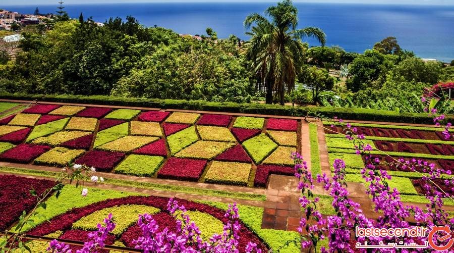باغ گیاهشناسی مدیرا (Madeira Botanical Garden)